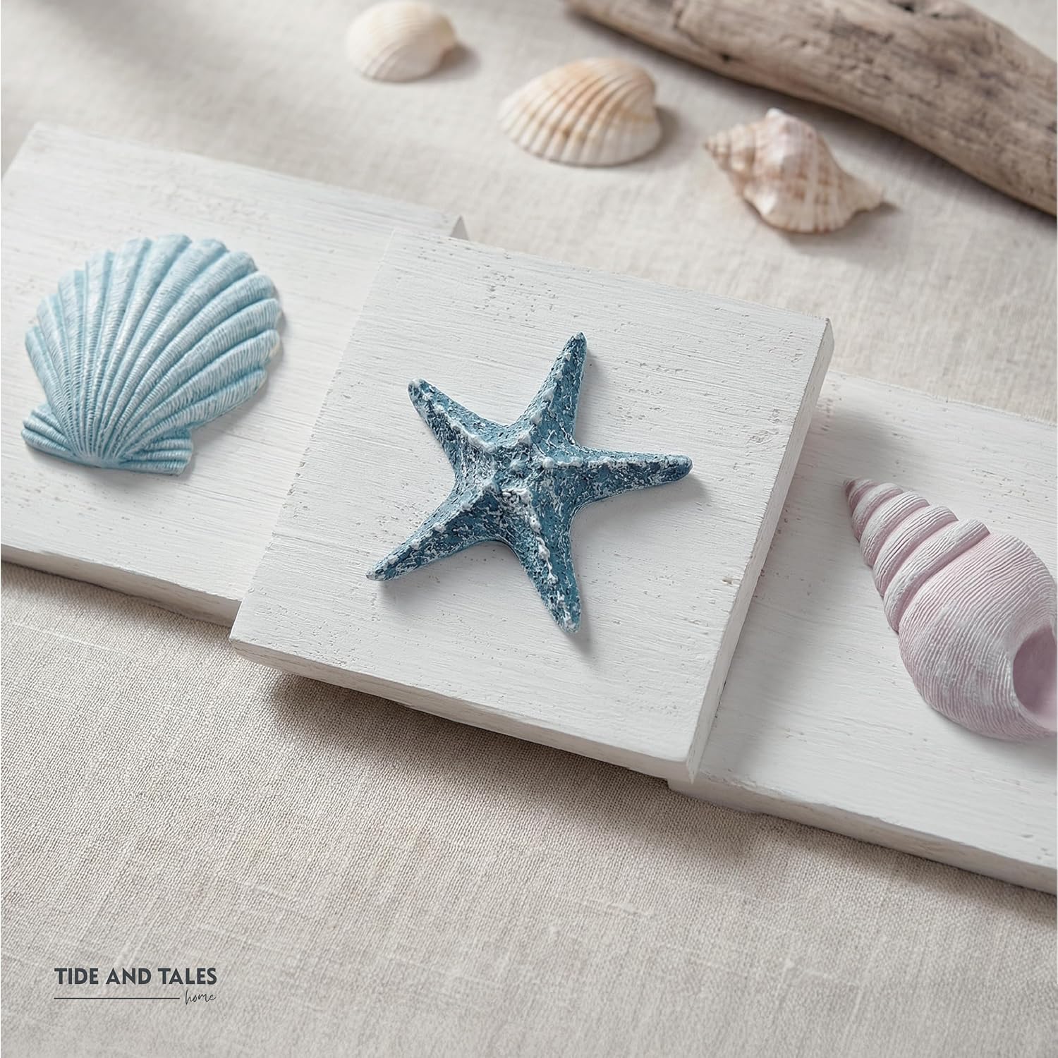 3-Piece Seashell Wall Plaque Set