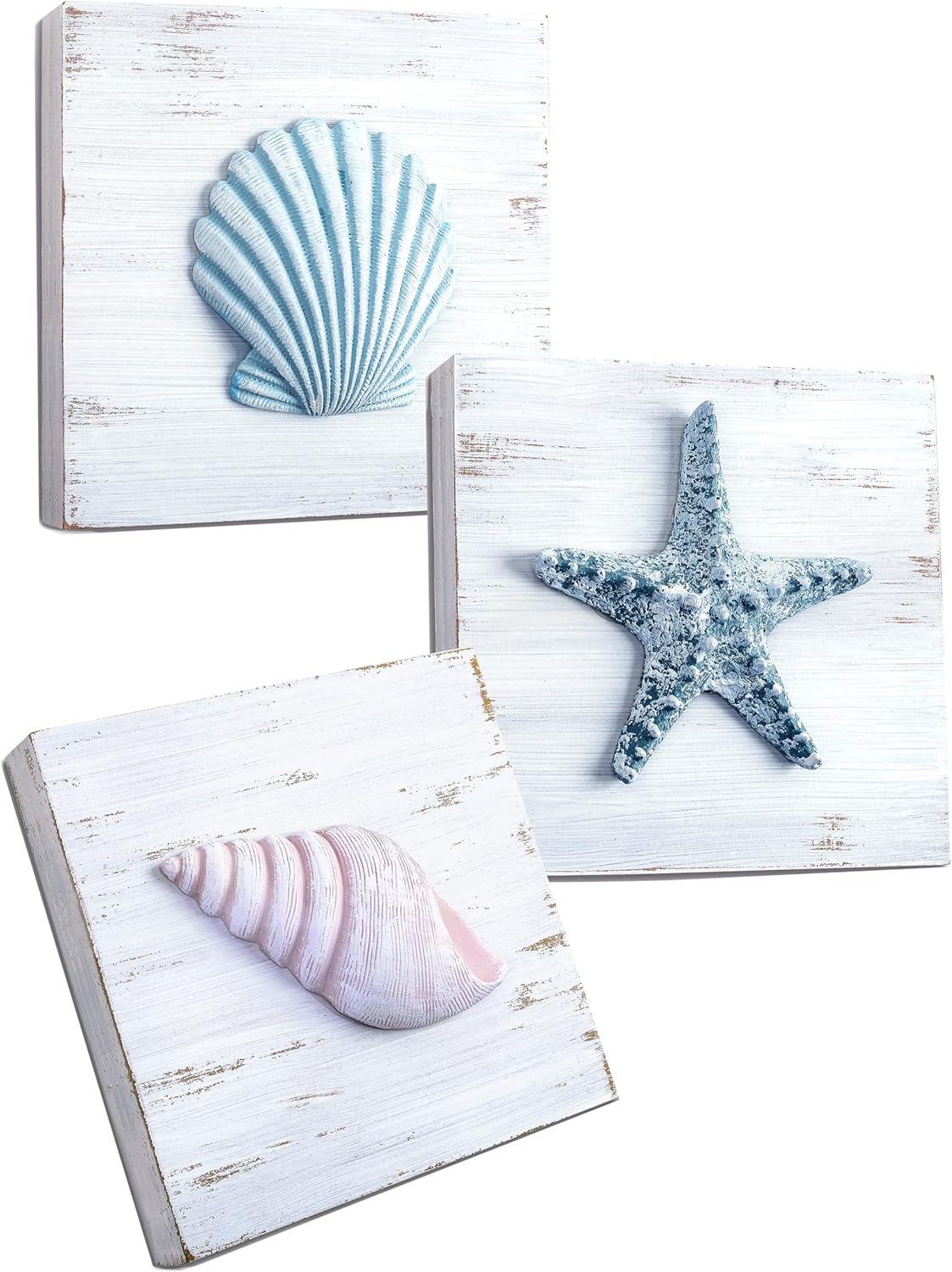 3-Piece Seashell Wall Plaque Set